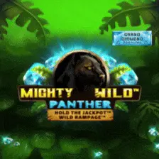 Mighty Wild Panther slot